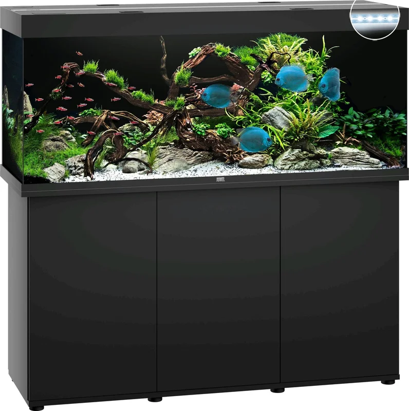 olibetta8257
