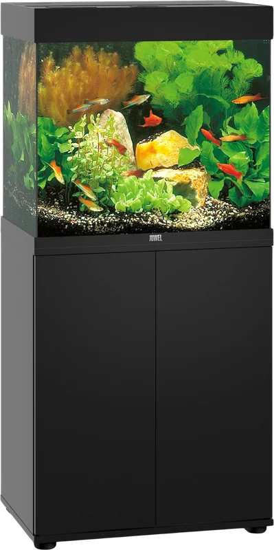 olibetta8290