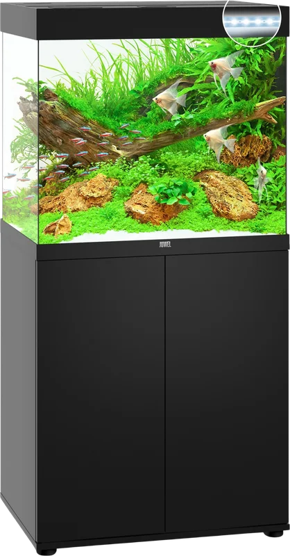 olibetta8303