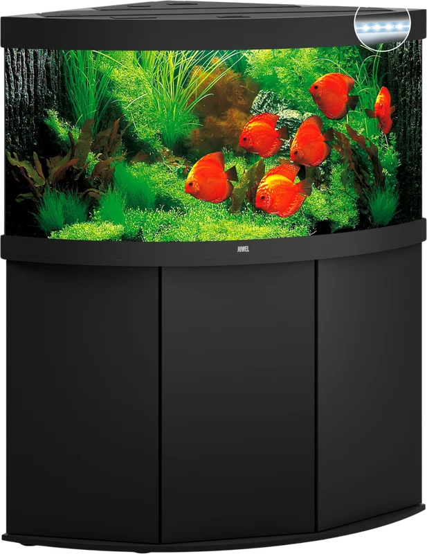 olibetta8318