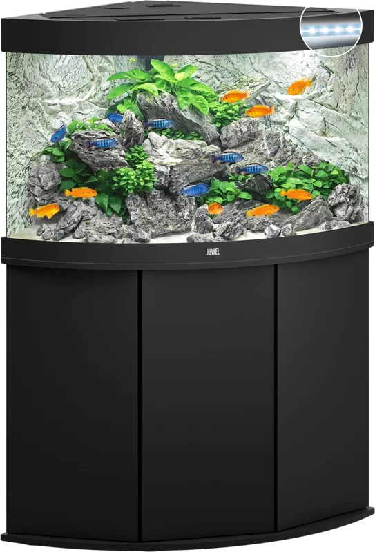 olibetta8331