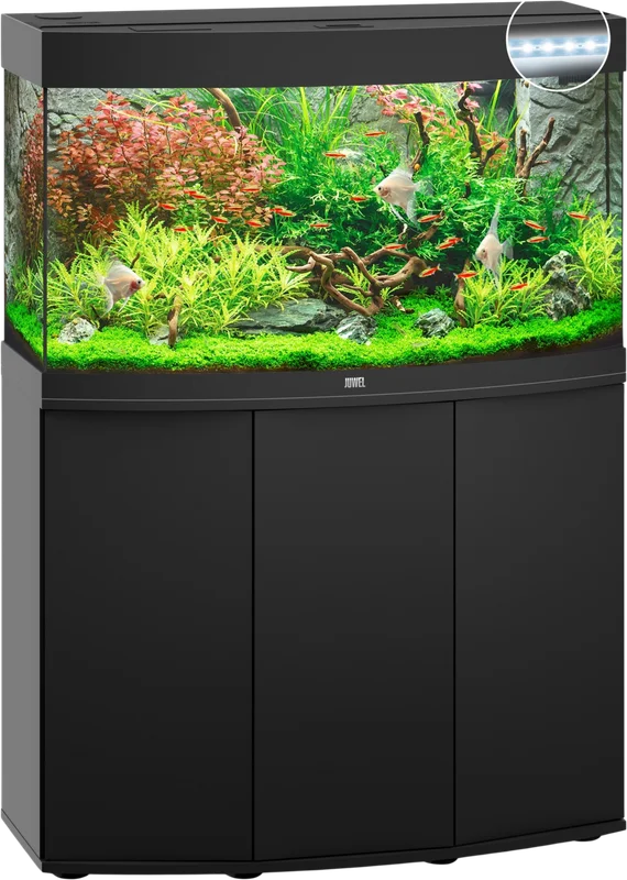 olibetta8356