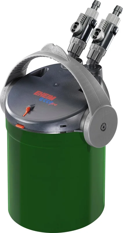 olibetta9388