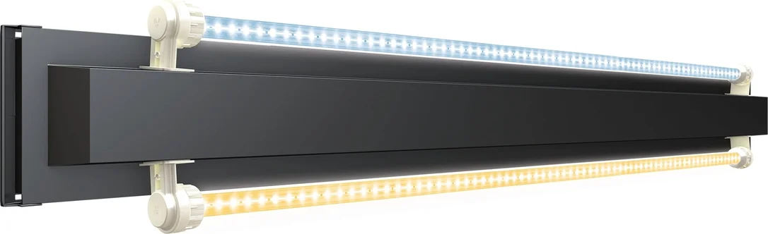 olibetta9452