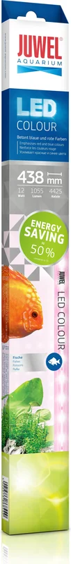 olibetta9530