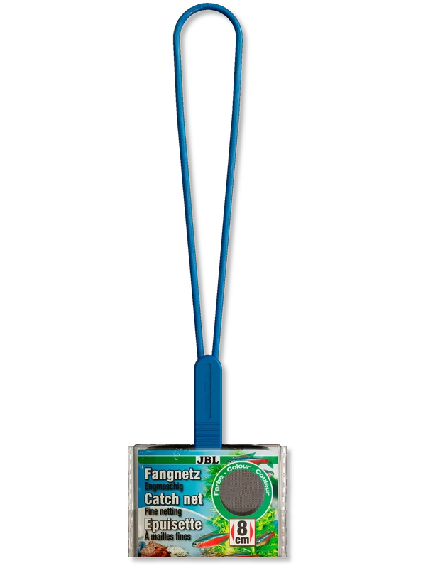 pezverde825301