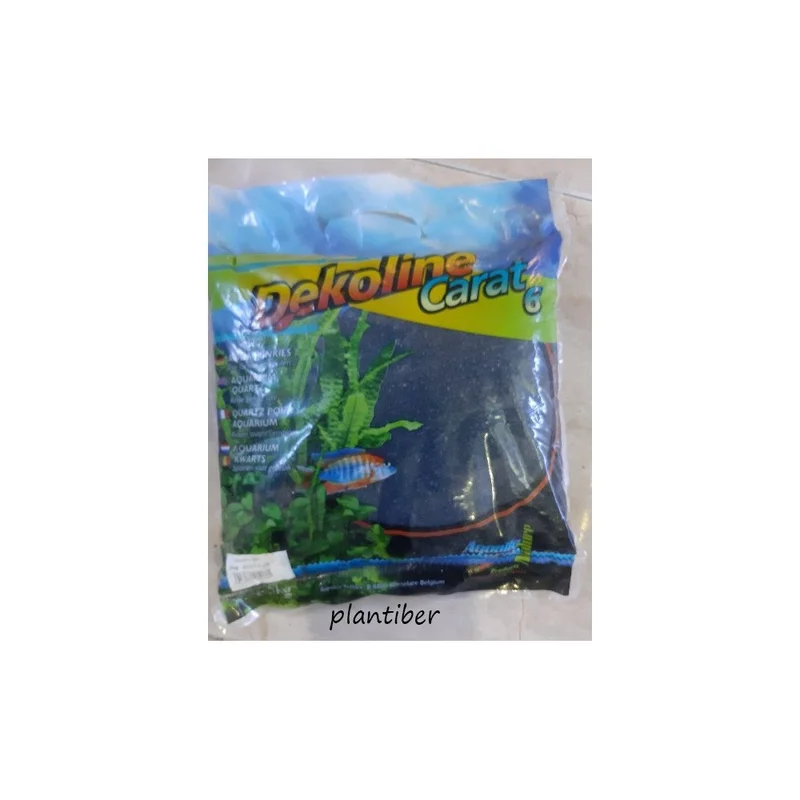 plantasdeacuarios192684