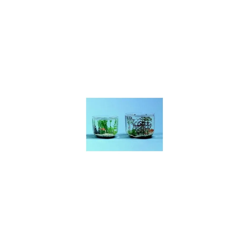 plantasdeacuarios192767