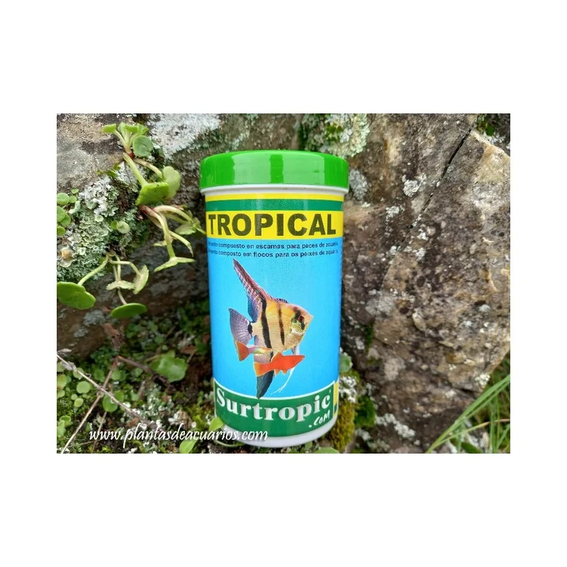 plantasdeacuarios192768