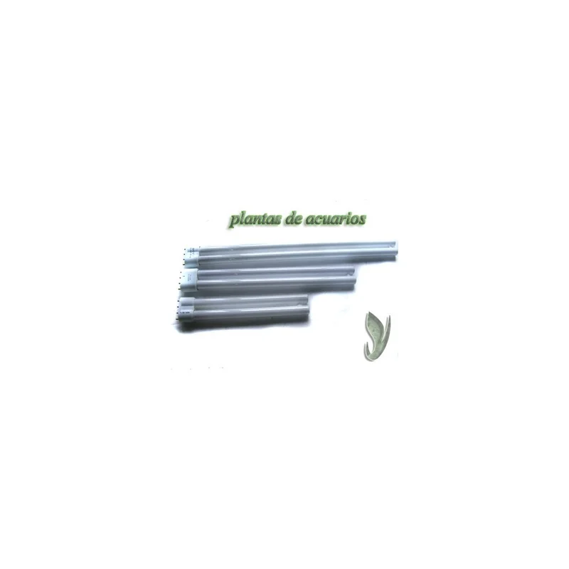 plantasdeacuarios192786