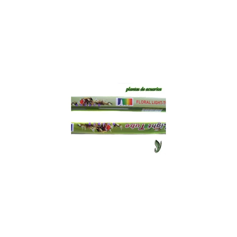 plantasdeacuarios192791