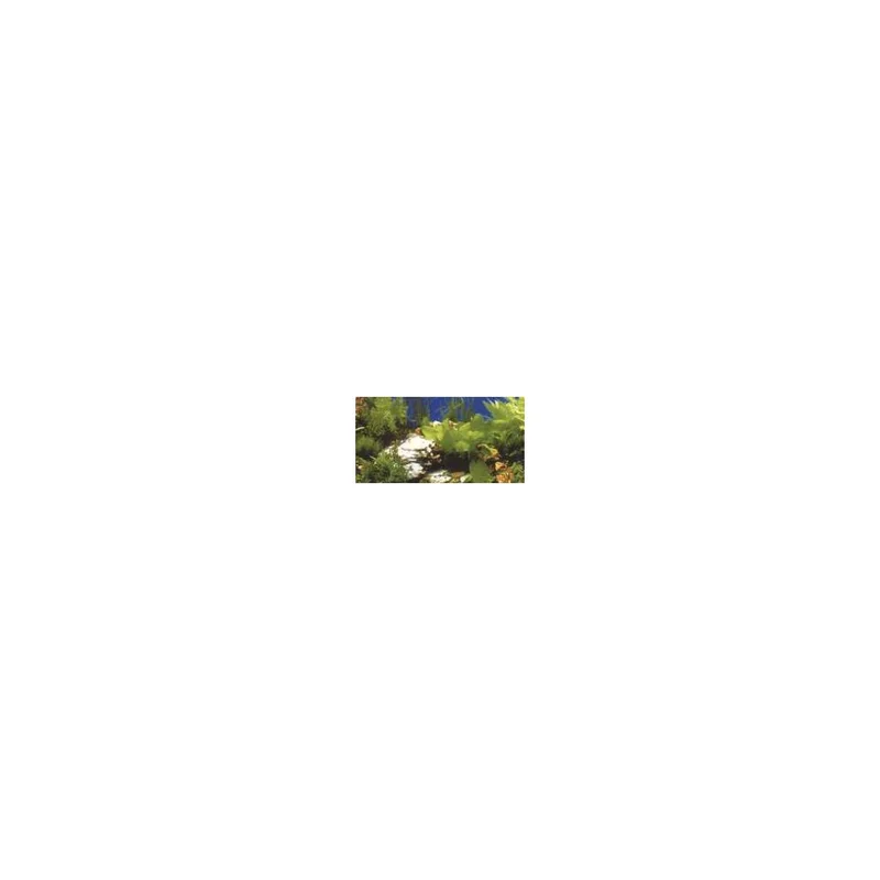 plantasdeacuarios192799