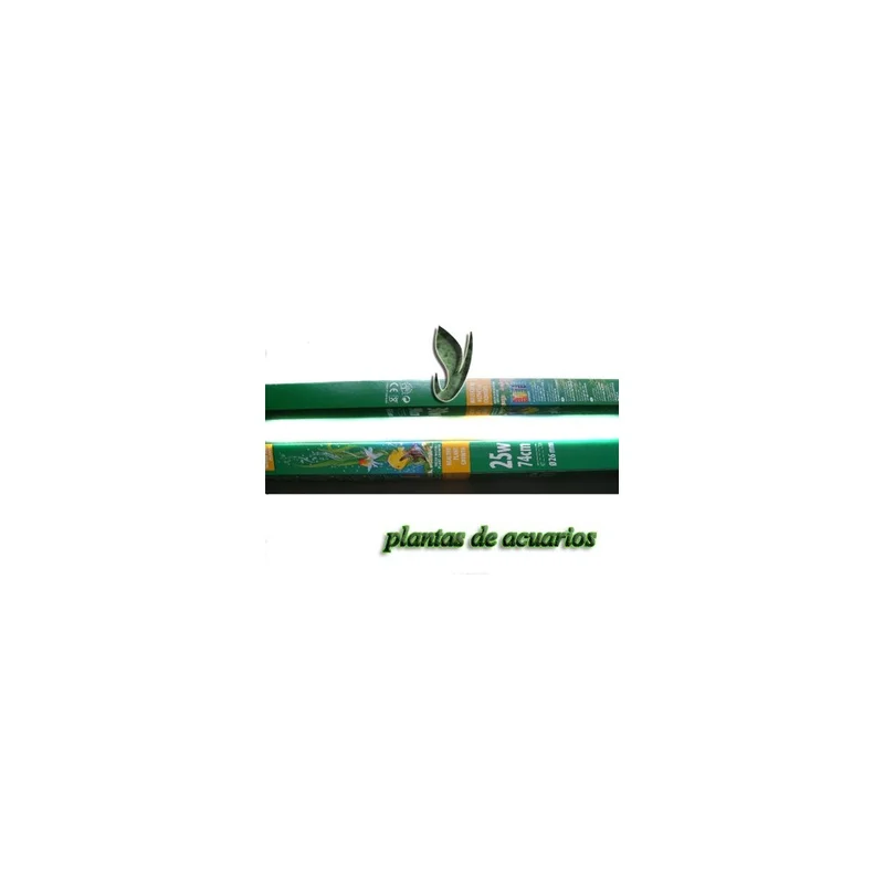 plantasdeacuarios193290