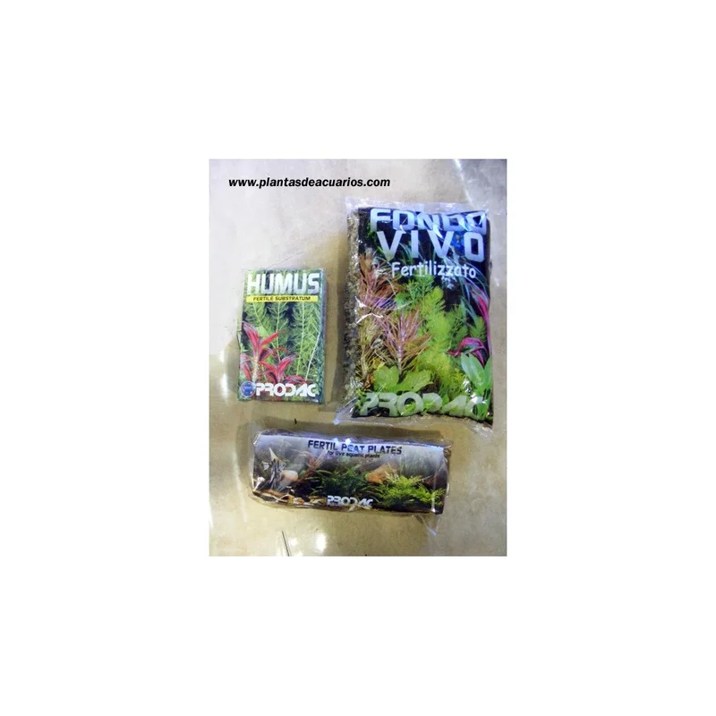 plantasdeacuarios193487
