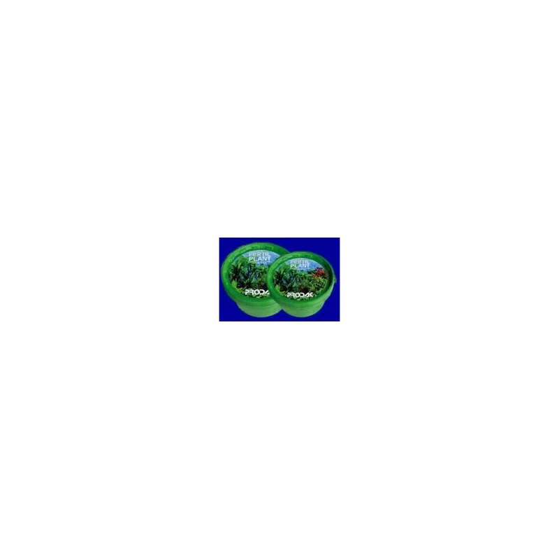 plantasdeacuarios193541