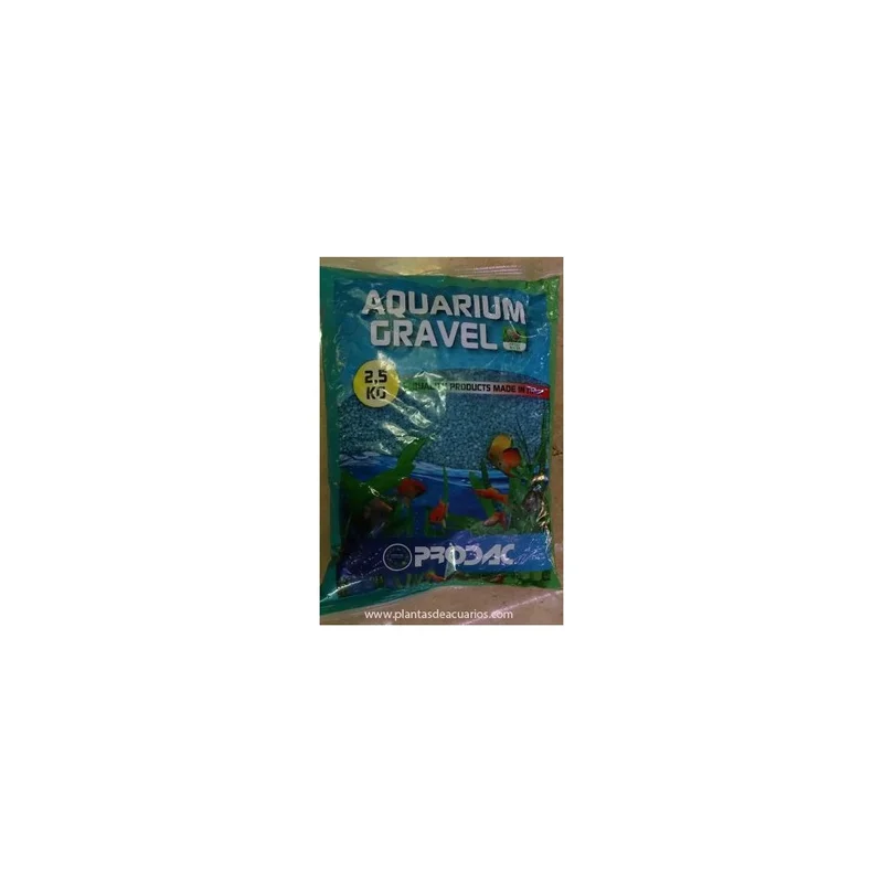 plantasdeacuarios193731