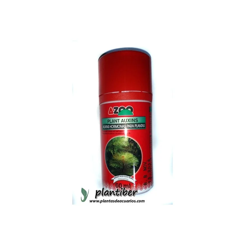plantasdeacuarios193974