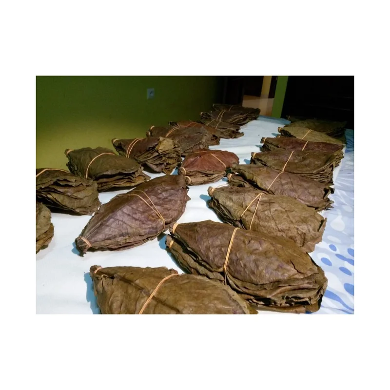 plantasdeacuarios194127