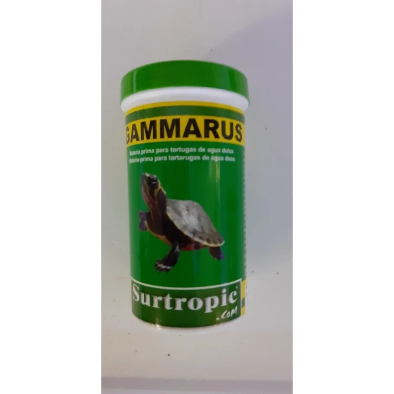 plantasdeacuarios194206