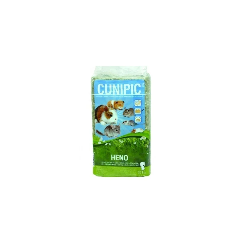 plantasdeacuarios194208