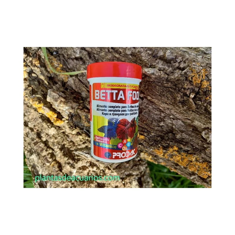plantasdeacuarios194269