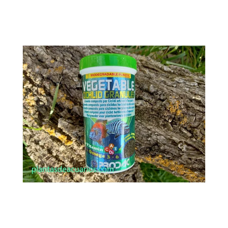 plantasdeacuarios194270