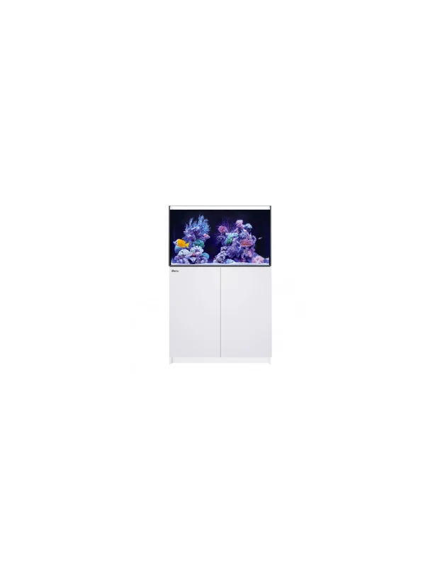 recifalpes13238