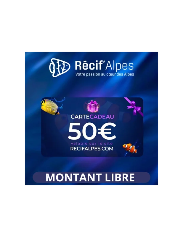 recifalpes1356