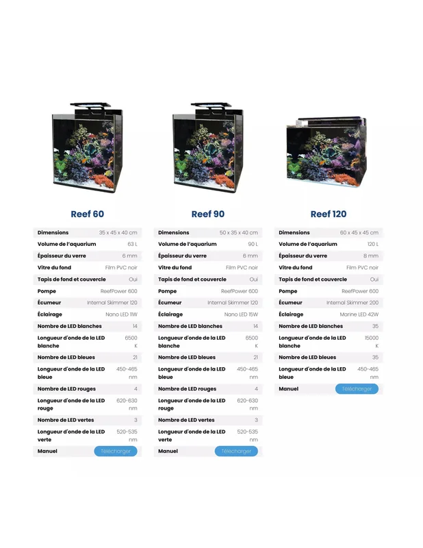 recifalpes8739