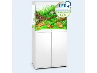 recifathome-110083