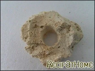 recifathome-11739