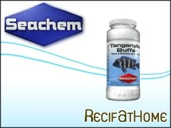 recifathome-119008