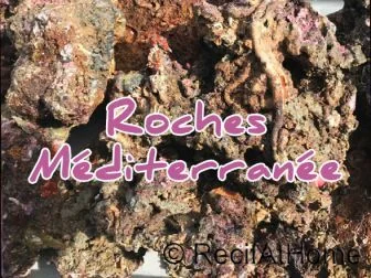 recifathome-12197