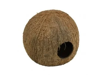 recifathome-15776