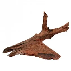 socav834901
