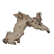 socav834977