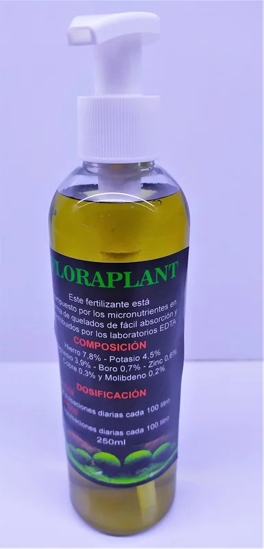 socav836682