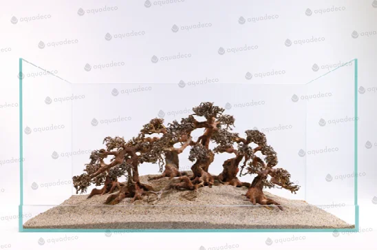 socav852086