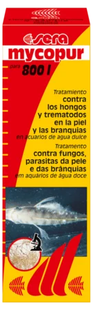 socav853991