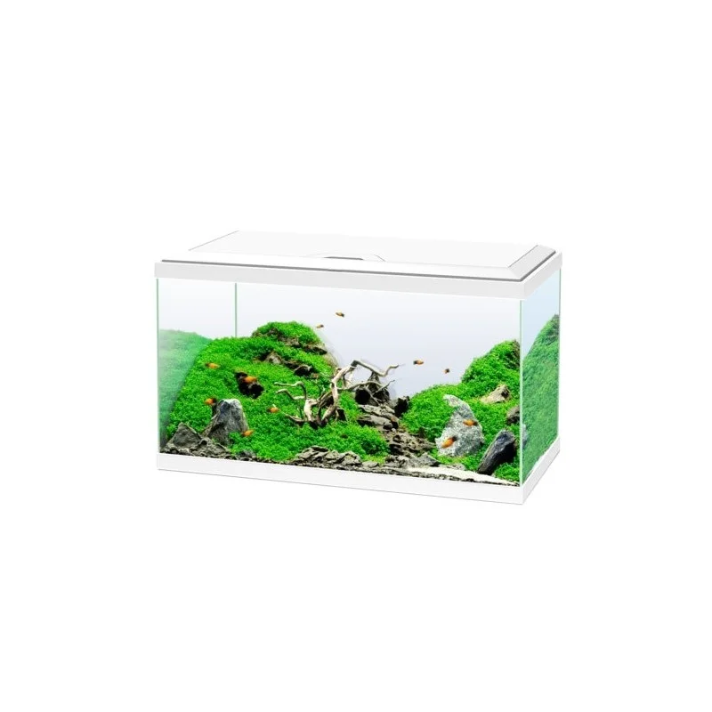 socav855513