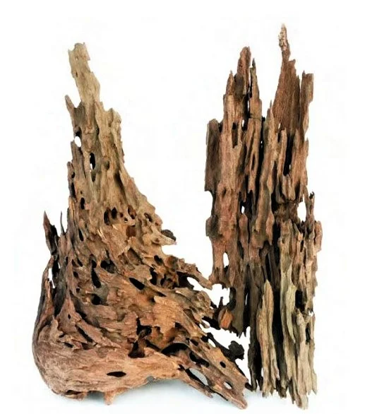 socav861198