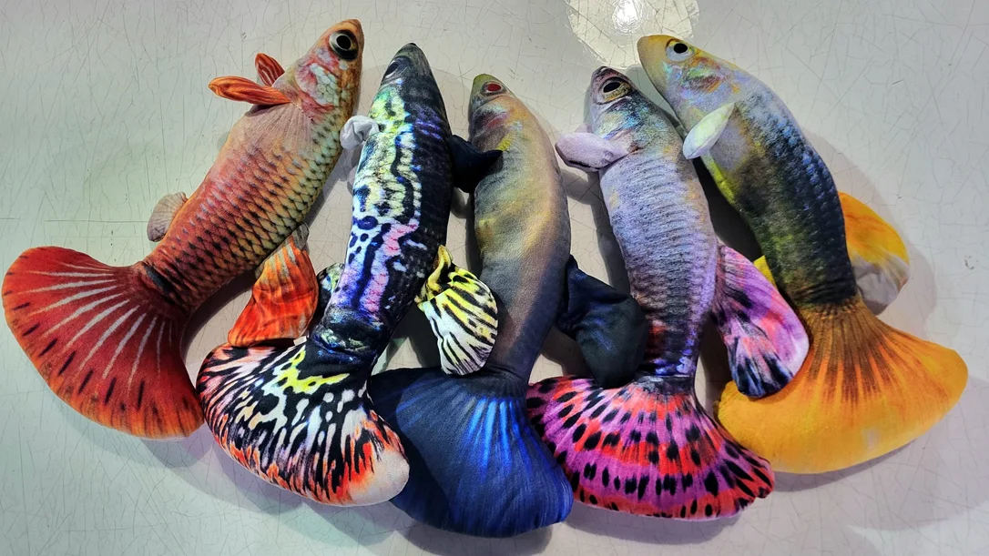 socav864279
