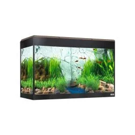 tienda826526