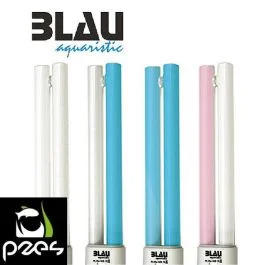 tienda826624