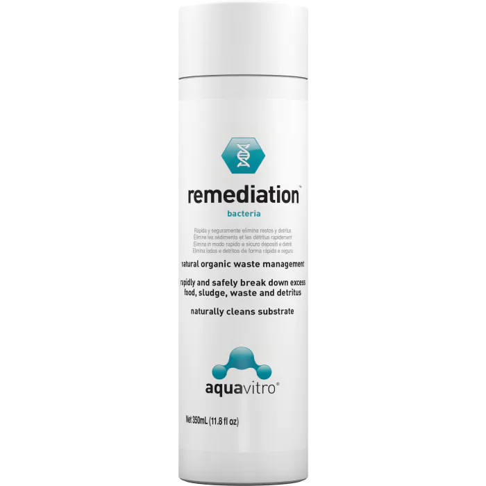tienda838545