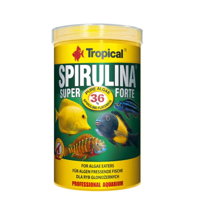 tienda844384