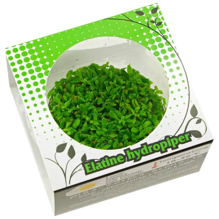 tienda846108