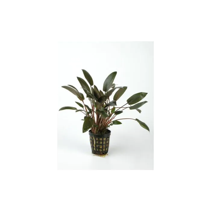tienda846414