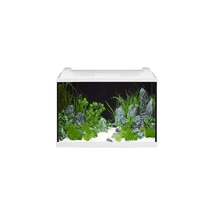 tienda855243