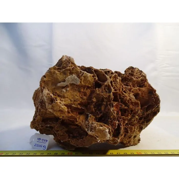 tienda856288